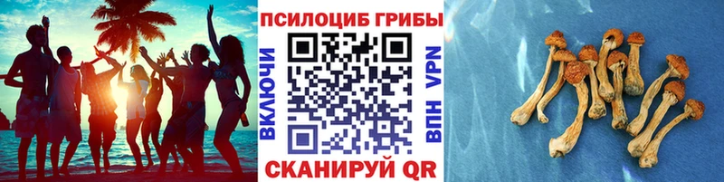 Псилоцибиновые грибы GOLDEN TEACHER  OMG рабочий сайт  Скопин 