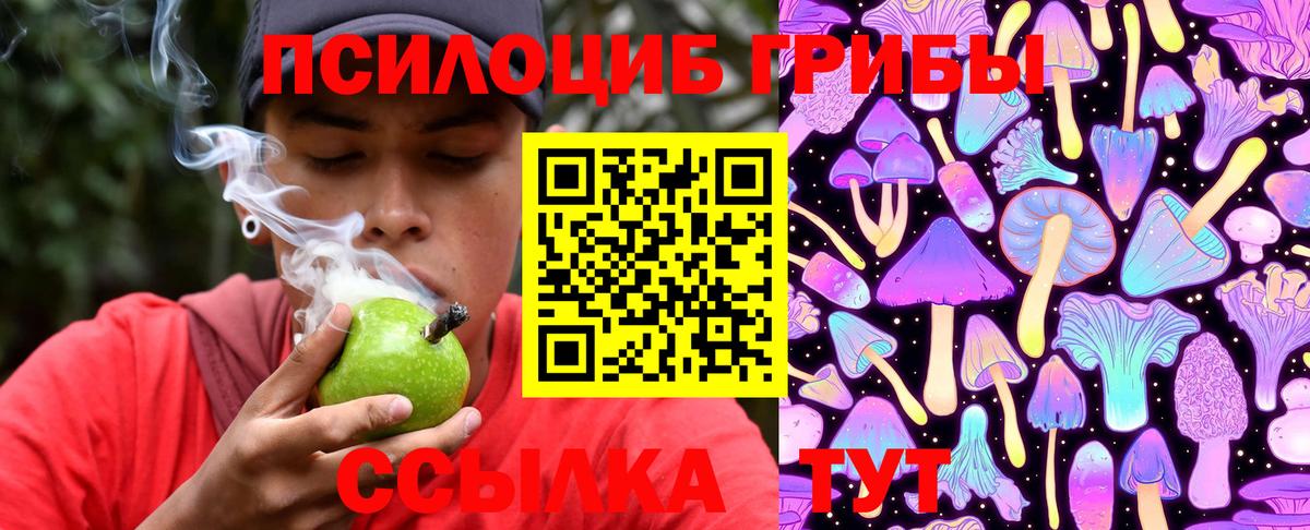 Галлюциногенные грибы Cubensis  Вход с VPN  Скопин 